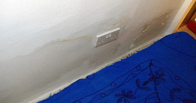 Moisture damage 2 weeks later Moisture damage 2 weeks later