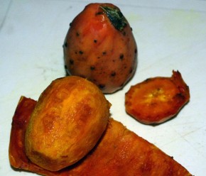 Cactus fruits Cactus fruits