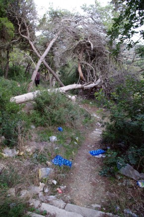Buskett Garden. A popular place for pic-nic's in the weekends. The first thing you see is trash... Buskett Garden. A popular place for pic-nic's in the weekends. The first thing you see is trash...