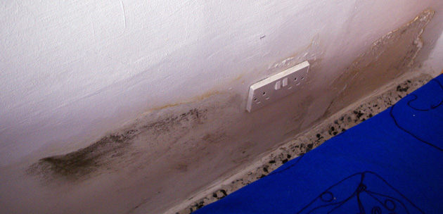 Moisture damage after 2 months Moisture damage after 2 months