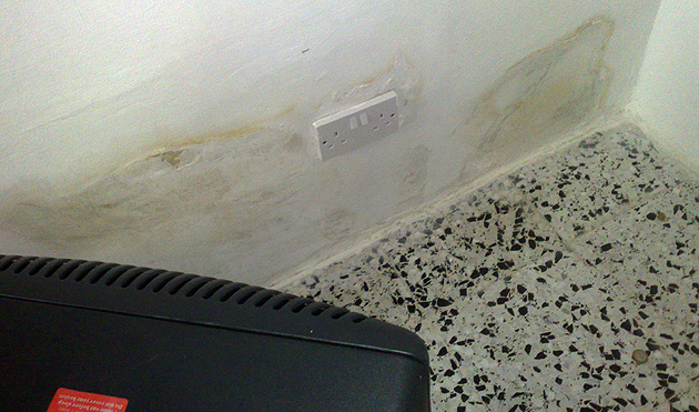 Hopefully the wall will dry up now Hopefully the wall will dry up now
