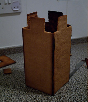 20091201_09_4_sidor It was difficult to add the last side without getting burned on the sugar.