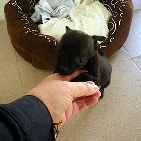 Play with me! Play with me!