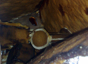 The roof and antenna is broken in pieces at the bottom of the tower The roof and antenna is broken in pieces at the bottom of the tower
