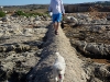 090603_1726_pembroke